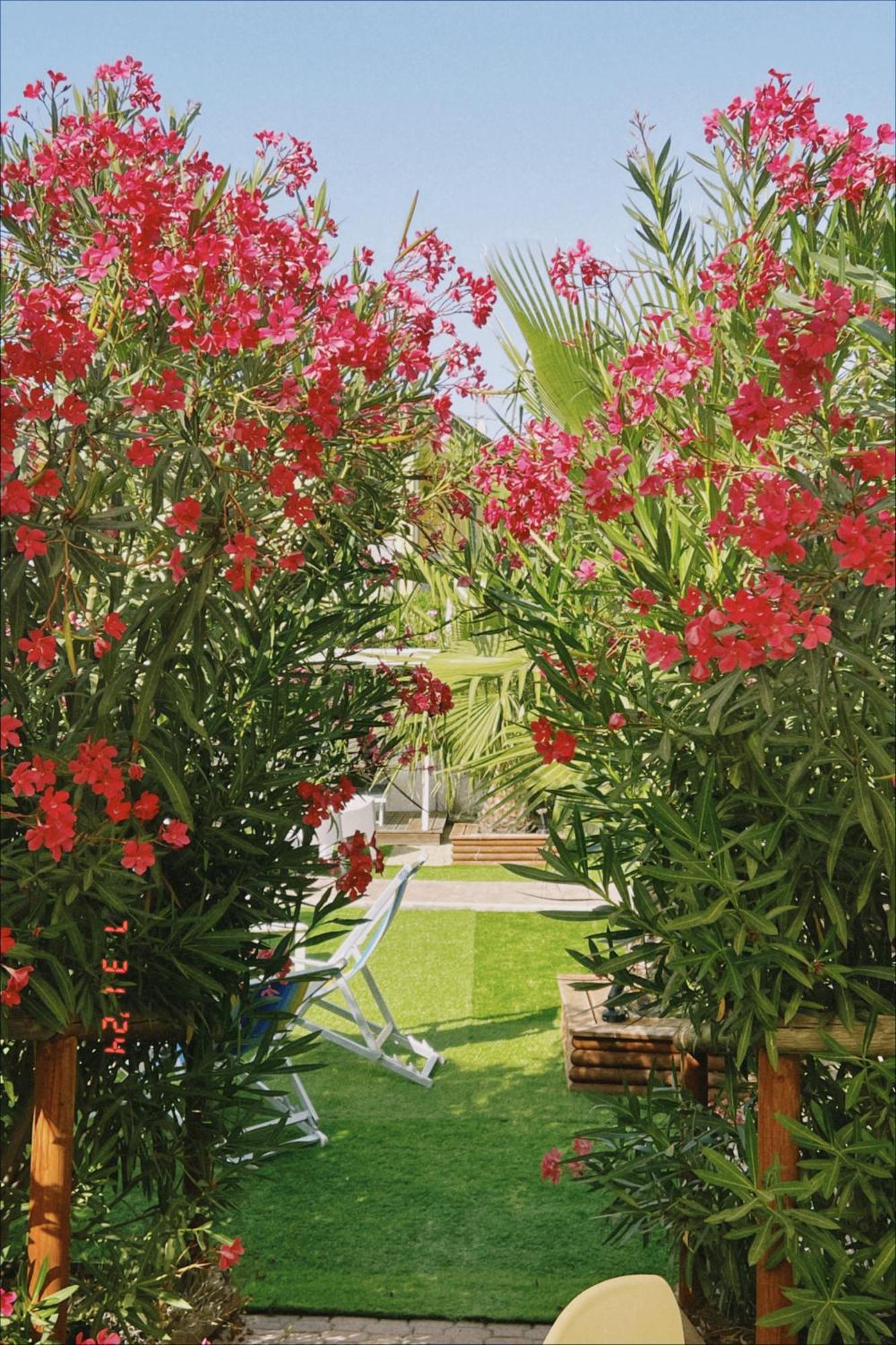 Le Palme Holidays 帕拉马多拉 外观 照片